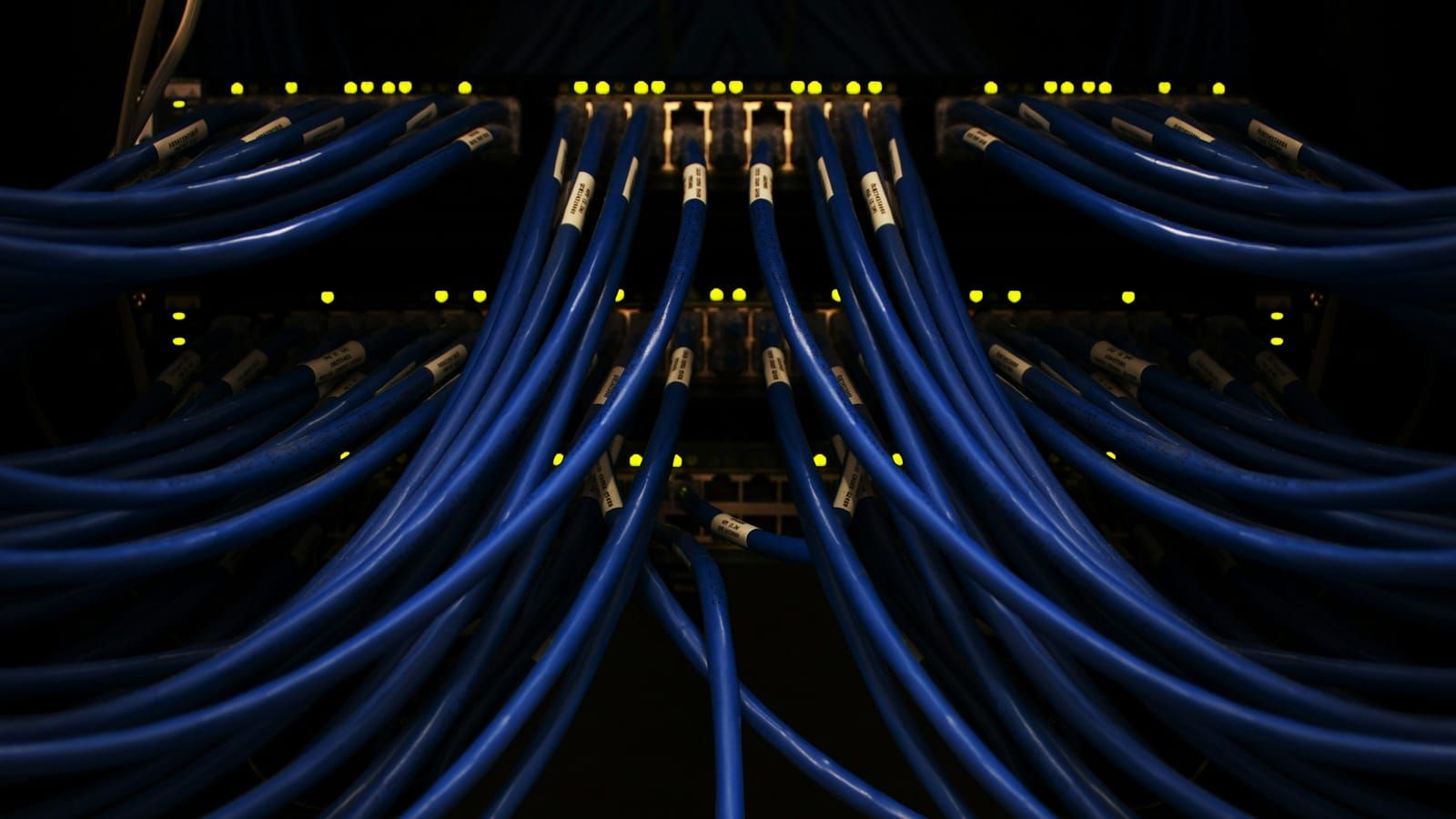 Blå netværkskabler forbundet til et serverrack